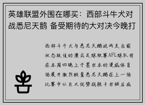 英雄联盟外围在哪买：西部斗牛犬对战悉尼天鹅 备受期待的大对决今晚打响